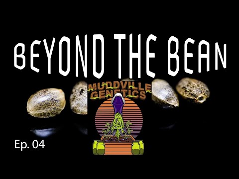 Mudville Genetics - Beyond the Bean Ep. 04