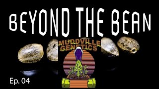 Mudville Genetics - Beyond the Bean Ep. 04