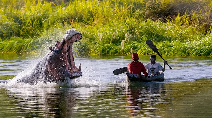 Xayawaanada Namibia & Bulshada Dadyowga Mafwe