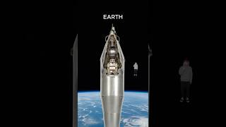 The Dog Who Went to Space...