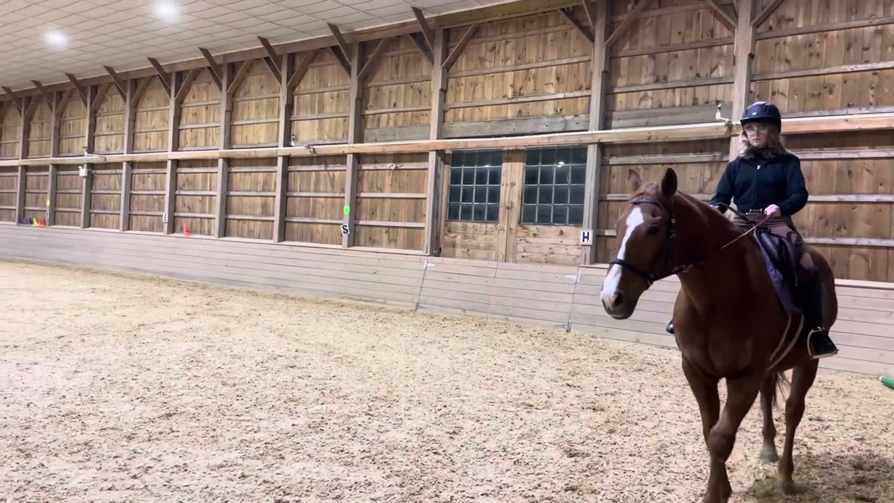 Libby Strite, Bentley, HPHC Therapeutic Test 2