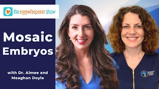 How Successful are Mosaic Embryos? with guest Meaghan Doyle