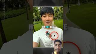 THIS MAN TOOK HIS PET BEE 🇺🇲 #shorts #shortvideo