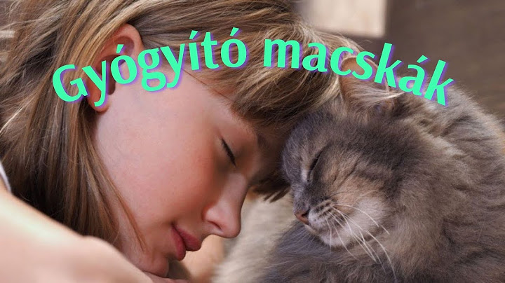 Gyógyító macskák   🐈  🐈  🐈   a mindennapok segítői