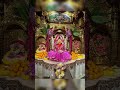 गणपती बाप्पा मोरया 🌺 #गणपती #मोरया