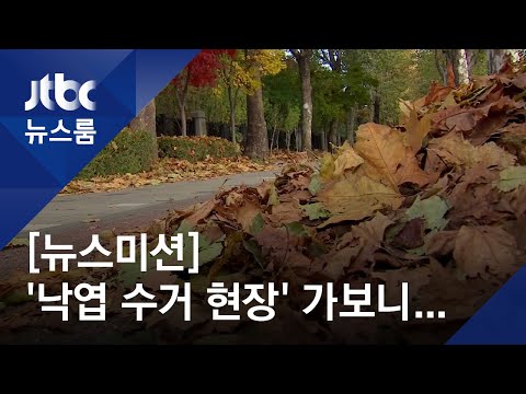 [<strong>뉴스미션</strong>] 낙엽도 자원인데…생활쓰레기가 재활용 걸림돌