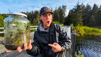 Creating a WILD ALASKAN AQUARIUM in a Mason Jar
