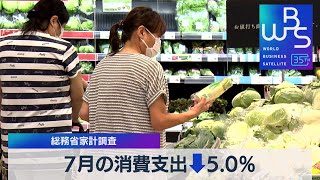 7月の消費支出↓5.0％　総務省家計調査【WBS】（2023年9月5日）