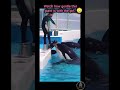 Is this giant really gentle? | 😳 #viral