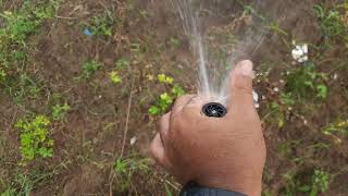 test sprinkler irigasi kebun durian