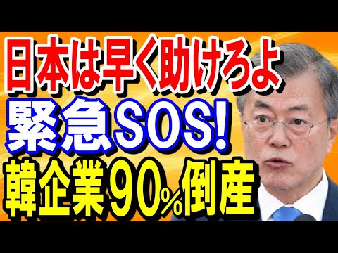【海外の反応】緊急SOS発動！『日本は早く助けろ』90%の韓国企業が倒産…【日本の魂】