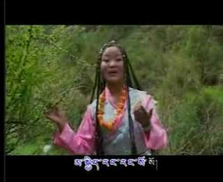 Tibetan Song Rigzin Dolma - Chungdri Jampa