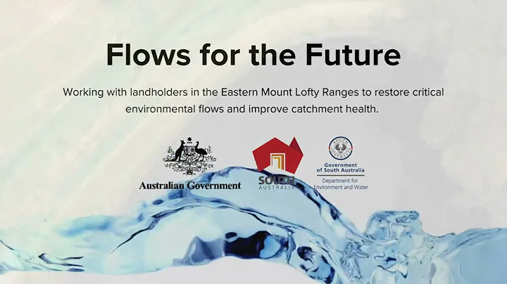 Flows for the Future