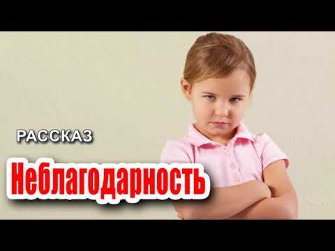 ✔ Очень интересный