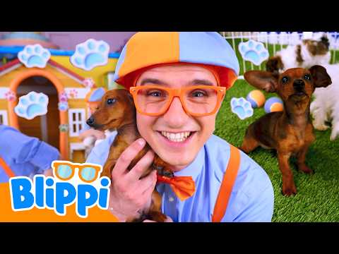 Blippi Learns Puppy Fun Facts! 🐶| Blippi Learns | Learn with Blippi!