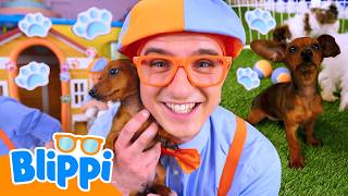 Blippi Learns Puppy Fun Facts! 🐶| Blippi Learns | Learn with Blippi!