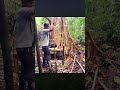 Building a Forest Cabin from Natural Materials, Bamboo &amp; Grass Survival Overnight Shelter / Camping 
