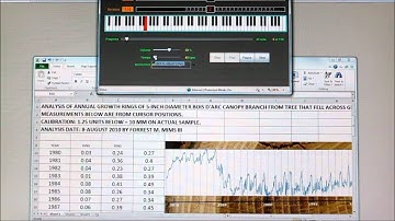 Converting Tree Rings into Music