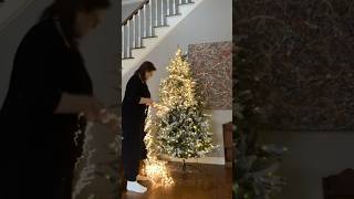 CHANGE EVERYTHING!: Add These LED CHRISTMAS LIGHTS To Your PRE-LIT CHRISTMAS TREE! #christmas