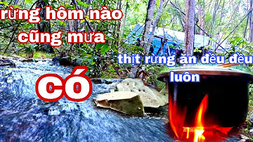 ngủ trong rừng mưa,mưa đêm to quá, ăn thịt rừng tự nhiên đều đều luôn|phúc làng tv