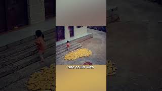 Download Lagu A Girl's Effort to Protect the Family Crops From the Rain MP3 Download Lagu A Girl's Effort to Protect the Family Crops From the Rain MP3