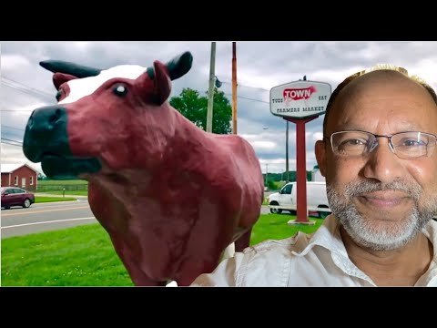 আমেরিকার গ্রাম ও কৃষকের হাঁট || American Village & Farmers market # 2 American Village & Rural Life.