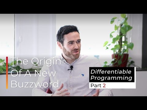 Differentiable Programming in