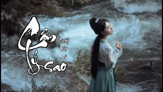 【Vietsub】Cẩm Lý Sao - Dương Hất Tử《Quốc Phong Mĩ Thiếu Niên》 | 锦鲤抄 - 杨肸子