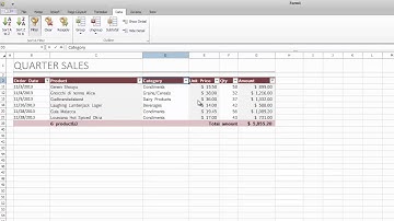 DevExpress WinForms Spreadsheet: Data Filtering
