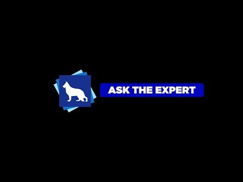Video: Vprašajte strokovnjaka - druženje psa-fobično reševanje