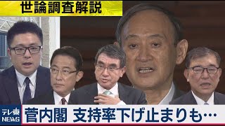 次の総理は…最新世論調査を武部記者が解説【与党キャップ武部慎一の世論調査解説】（2021年2月1日）
