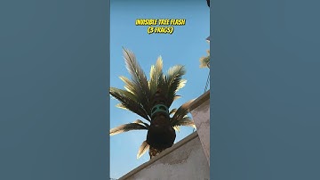 INVISIBLE TREE FLASH ON DUST 2 #shorts #csgo