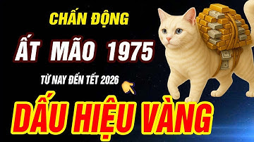 Dấu hiệu VÀNG HỐT TIỀN TỶ Tuổi ẤT MÃO 1975 TRỜI ĐANG ĐỘ CỰC GIÀU đúng từ nay đến tết 2026 ÂL