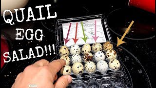HEALTHY BREAKFAST MADE EASY!!! 15 QUAIL EGGS SALAD