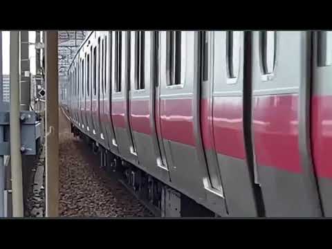 鳥が電車に轢かれる瞬間