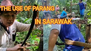 THE USE OF PARANG IN SARAWAK.