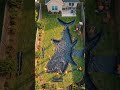 Watch this insane backyard transformation as we build a GIANT shark-shaped swimming pool ! 🦈