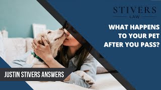 What happens to my pet after I pass?