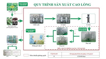 Hãy Cùng Dược Phẩm PQA / Khám Phá Quy Trình Sản Xuất Cao Lỏng Khép Kín Đạt Chuẩn GMP, GLP, GSP