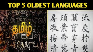 TOP 5 OLDEST LANGUAGE IN TAMIL | #factsintamil  #minutesmystery #tamilthangai #shorts