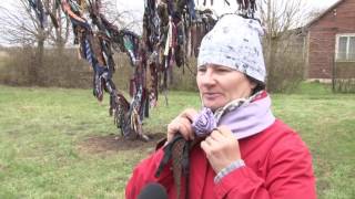 Infostudija 2017-04-24