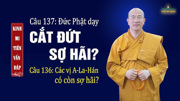 Các Vị A-la-hán có còn sợ hãi? Đức Phật dạy cắt đứt sợ hãi? | Kinh Mi Tiên vấn đáp câu 136-137