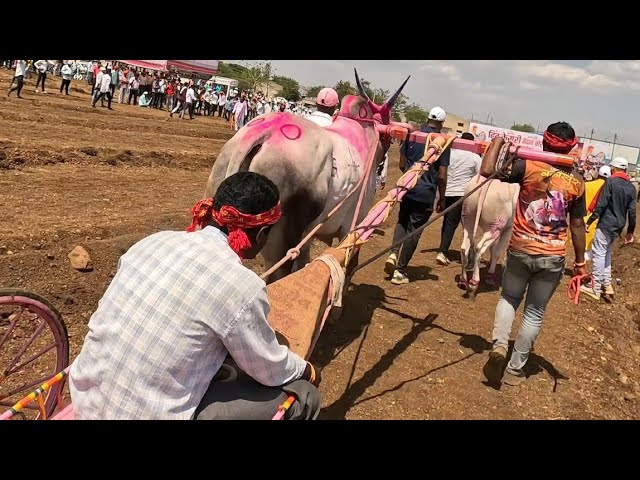 Anxel Vain (porno aktrisa) Porno filmlarda silikon supermodellar