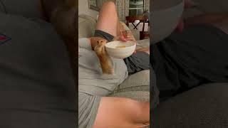 Hamster Climbing Food Plate