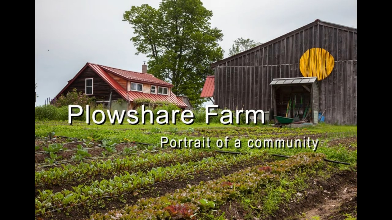 Summer 2025 Slideshow