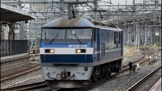 【4K高画質】【EF210-116  単機回送】JR貨物EF210形100番台116号機〔新〕（新塗装）が単機で大宮駅10番線を通過するシーン（臨配8791レ・新A9106・その他）2025.9.15