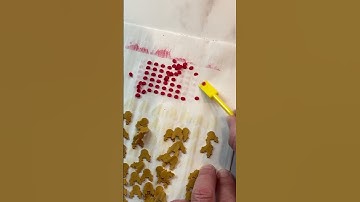 How to make custom Christmas Sprinkles | Sprinkle Stencils