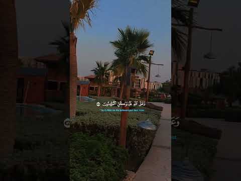 قرآن راحة نفسية أرح قلبك بهذه التلاوة تلاوة خاشعة قران كريم أجر لي ولكم القرآن احمد العجمي