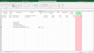 Clio Matter Budget Options and Example Management Report