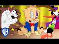 Looney Tunes Cartoons | Nueva temporada | Cartoon Network y HBO Max